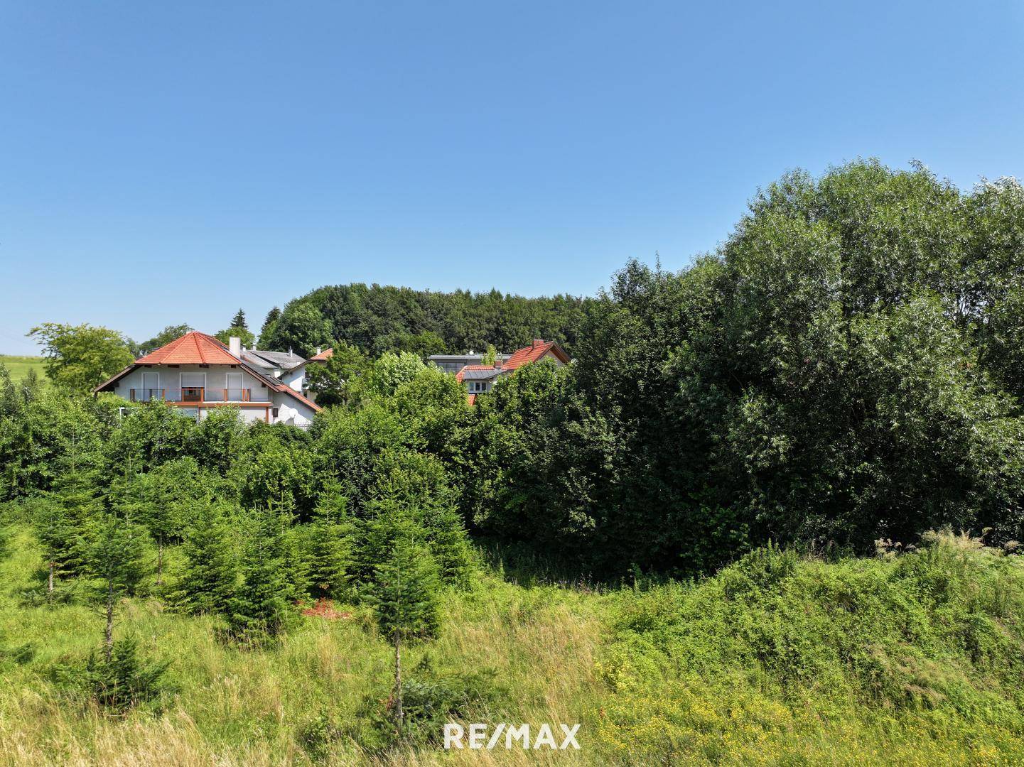 Grüne Landschaft mit jungen Bäumen und Wohnhäusern mit roten Dächern in der Ferne.