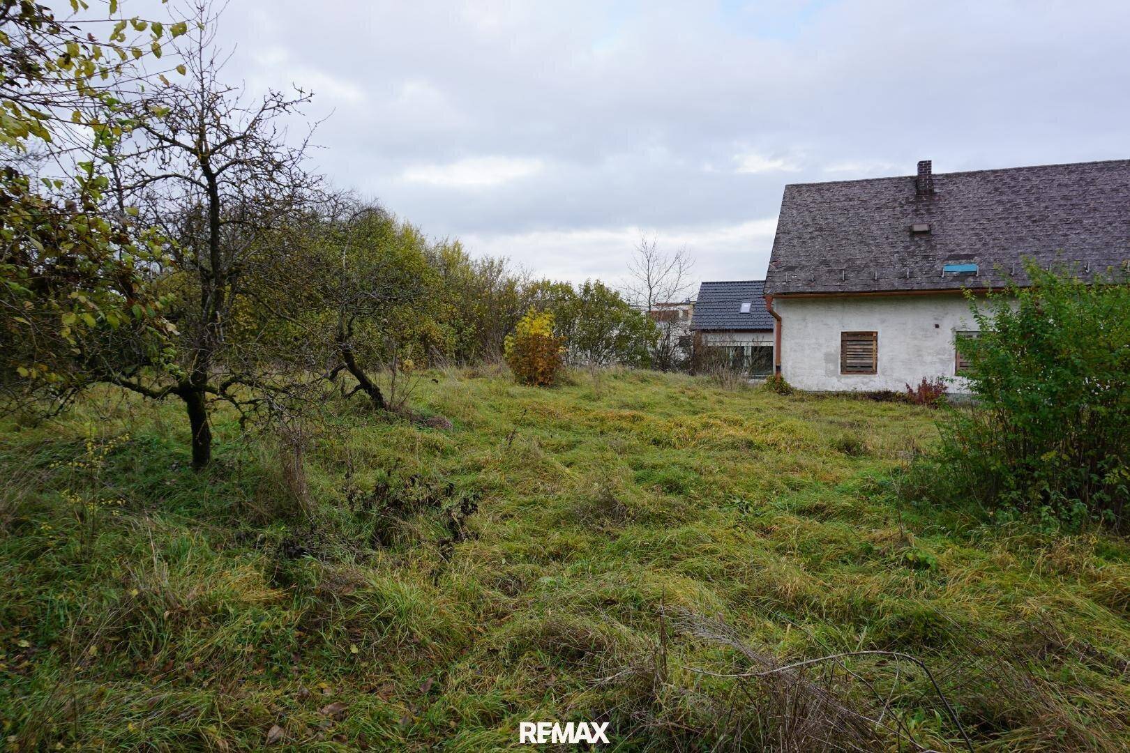 Verwilderter Gartenbereich mit hohem Gras und altem Baumbestand neben einem älteren Haus.