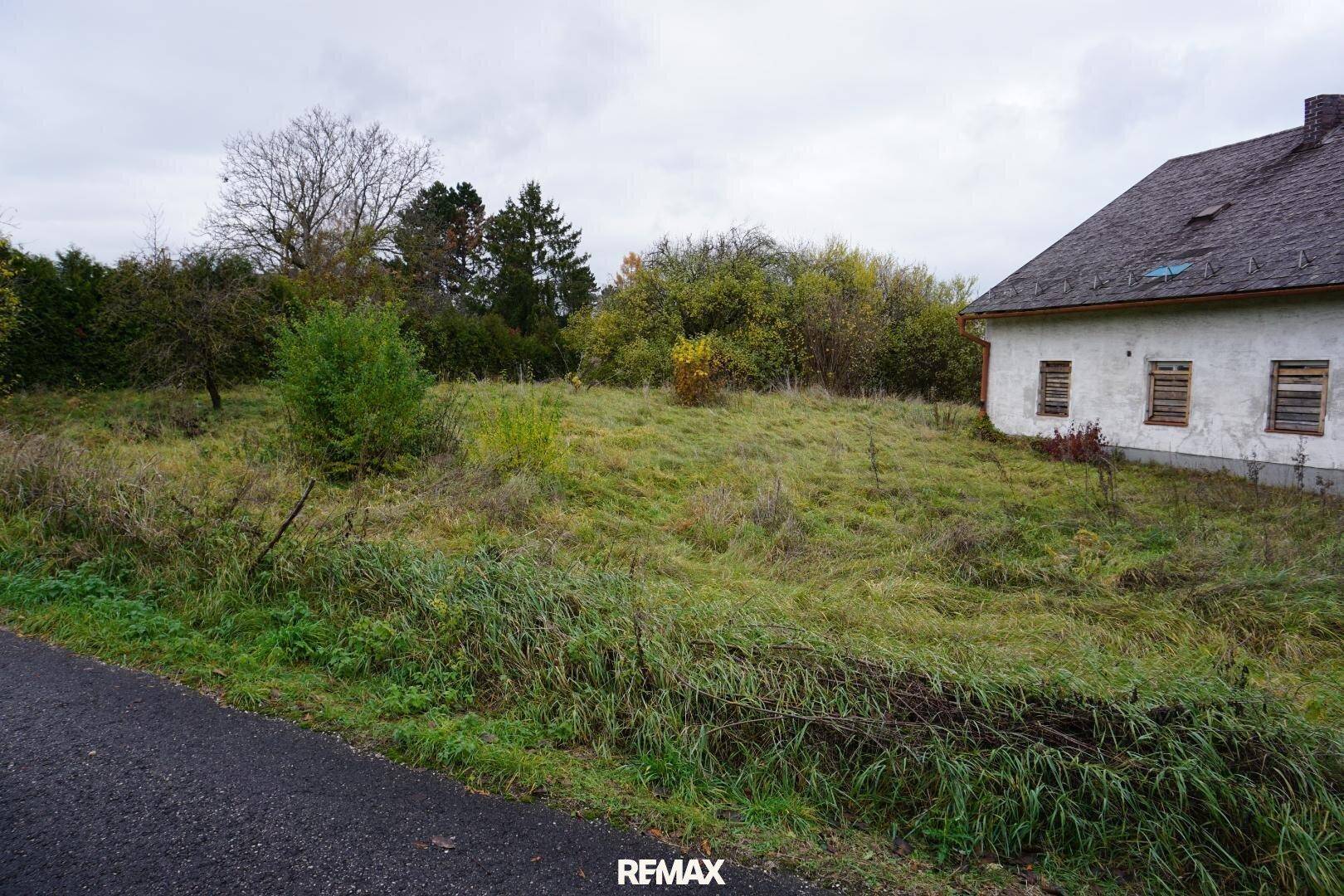 Ungepflegter Gartenbereich mit hohem Gras und einem alten Haus im Hintergrund, angrenzend an eine Straße.