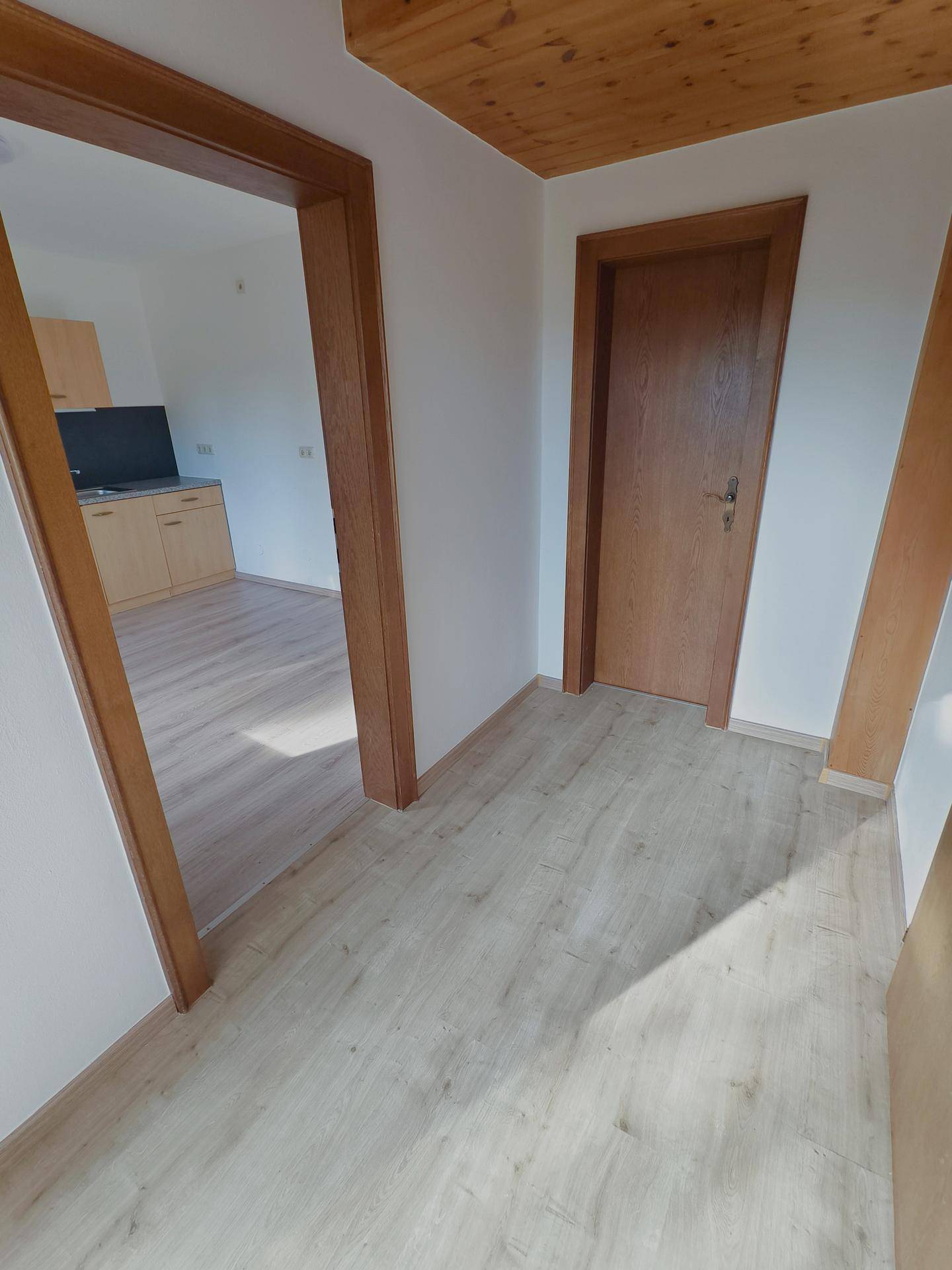 Heller Flur mit Laminatboden und Holztüren, der zu weiteren Räumen führt.