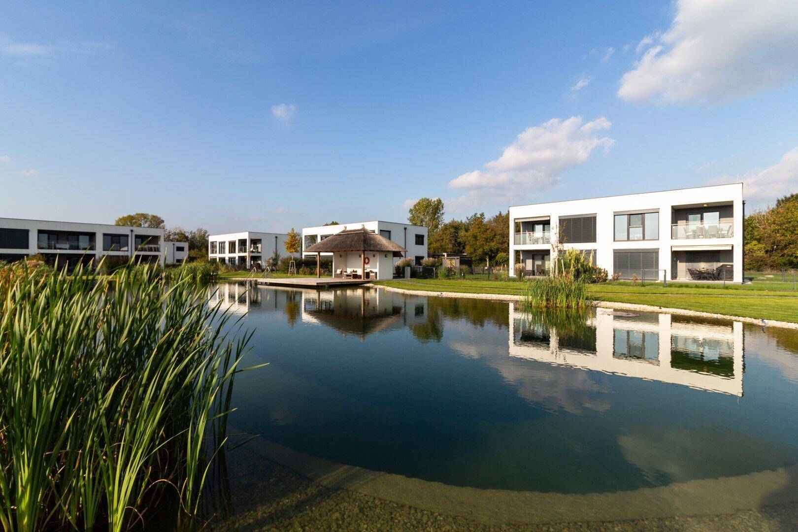 Moderne weiße Gebäude mit großen Fenstern spiegeln sich in einem ruhigen Teich, umgeben von Schilf.