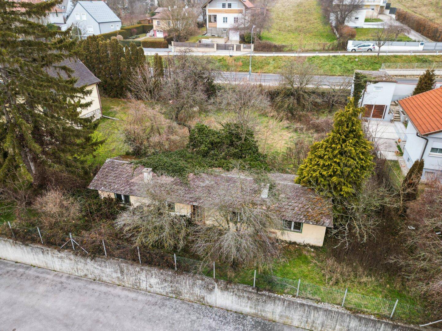 Detaillierte Luftansicht des baufälligen Gebäudes auf dem Grundstück, umgeben von dichter Vegetation.
