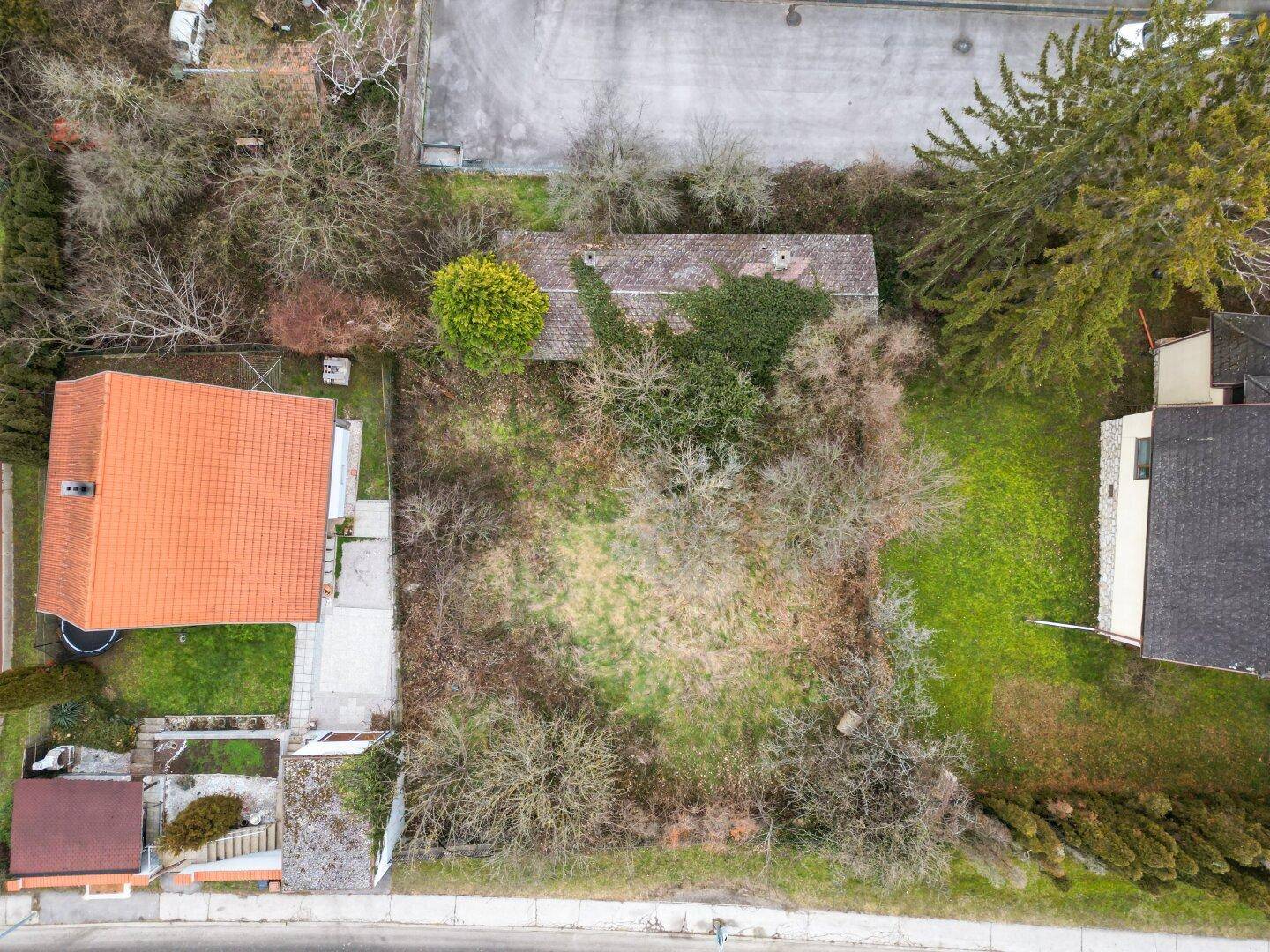 Draufsicht auf das Grundstück mit dichter Vegetation und angrenzenden Gebäuden und Straßen.