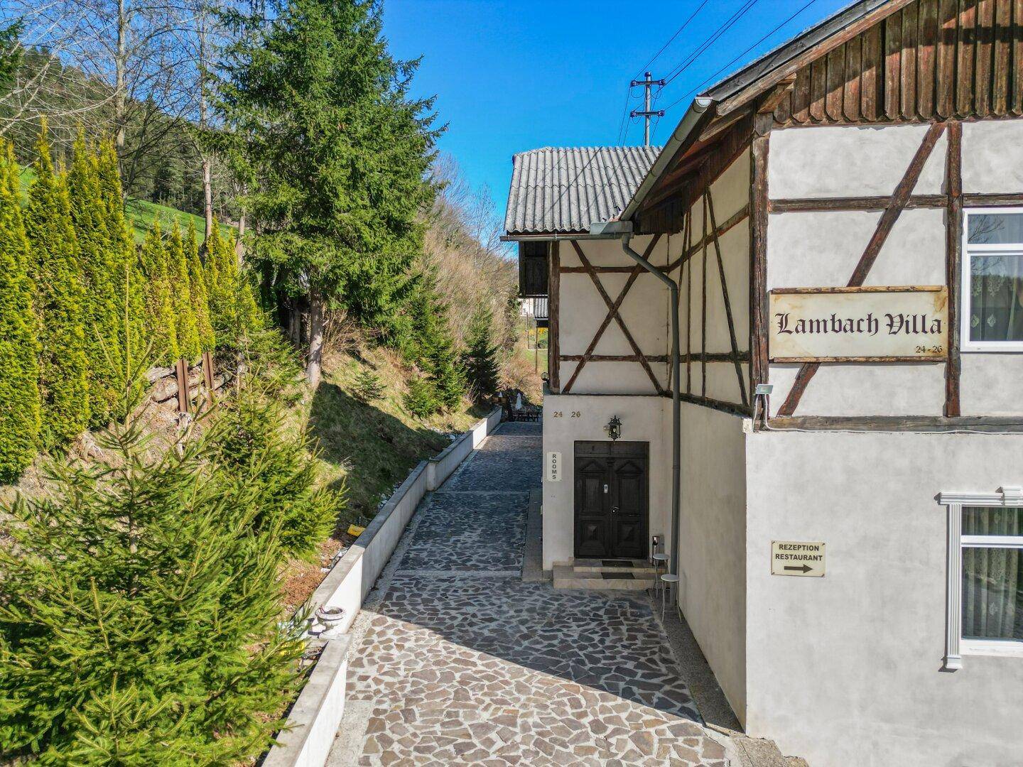 Gepflasterter Zugangsweg zum Eingangsbereich der Villa, umgeben von hohen Nadelbäumen.