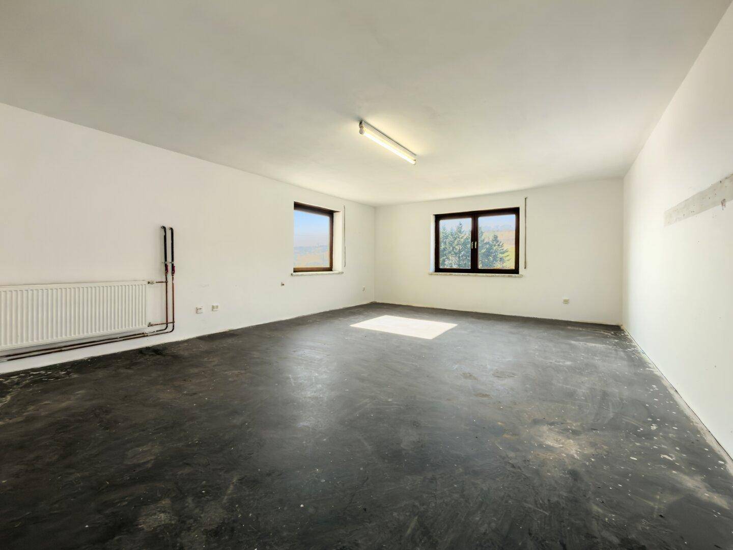 Heller Kellerraum mit Betonboden und Fenstern, vielseitig nutzbar.