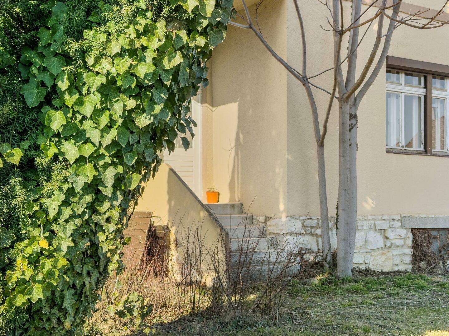 Eingangsbereich eines Hauses mit Efeu bewachsenen Wänden und Treppe.