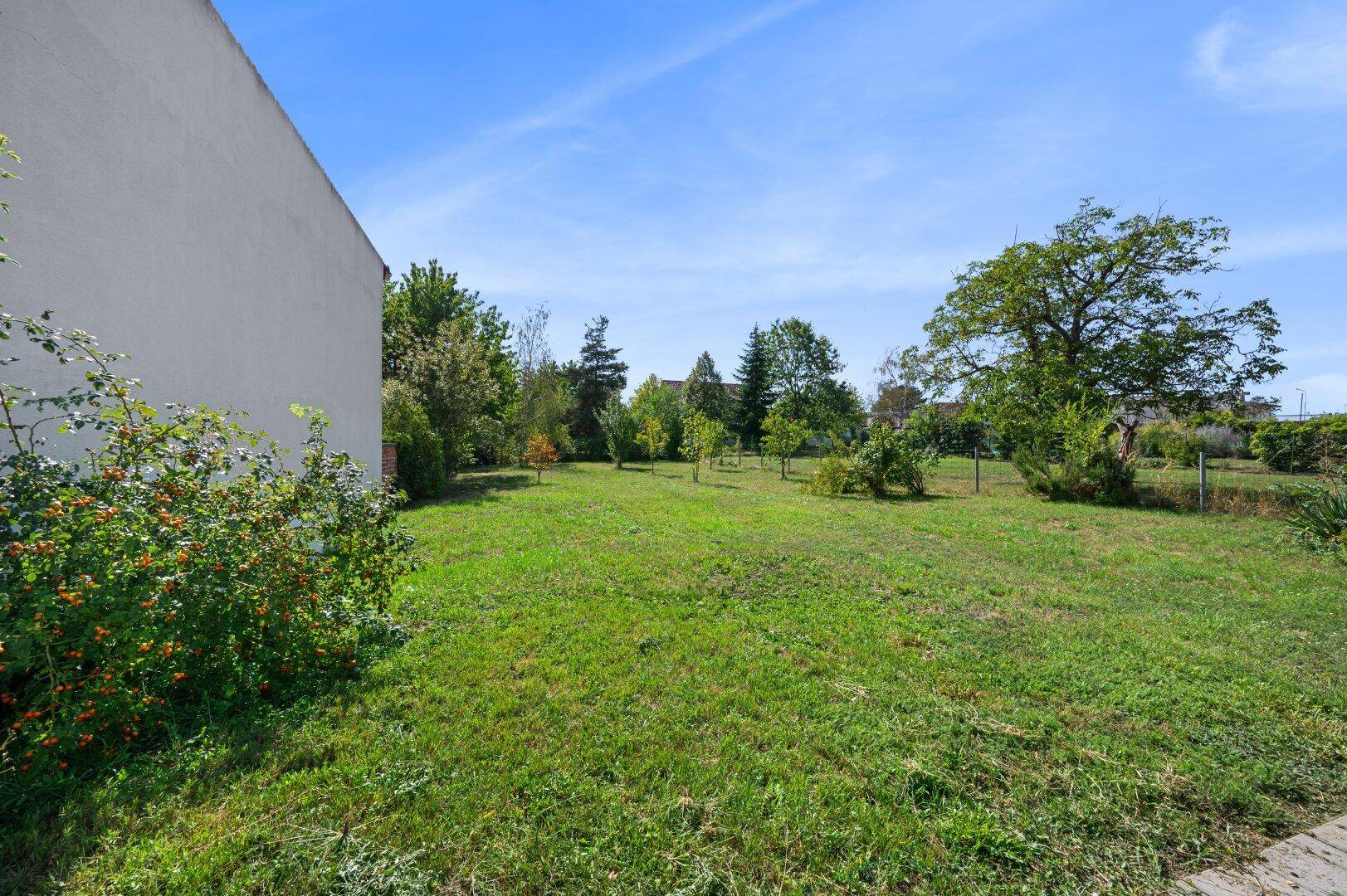 Weitläufiger, grüner Garten mit jungen Bäumen und viel Platz für Erholung und Freizeitaktivitäten.