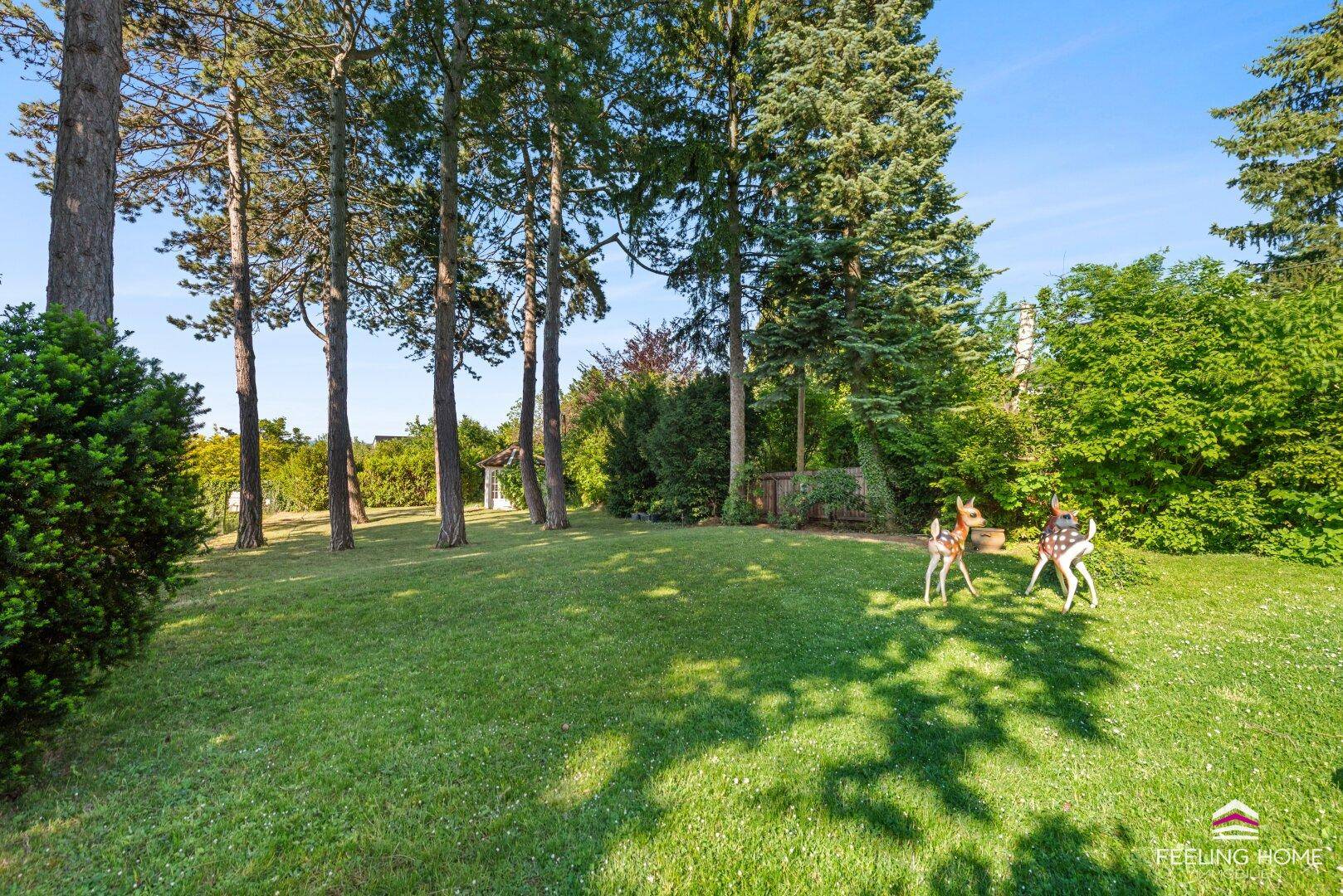 Sonniger, weitläufiger Garten mit hohen Bäumen und viel Grünfläche zum Entspannen.