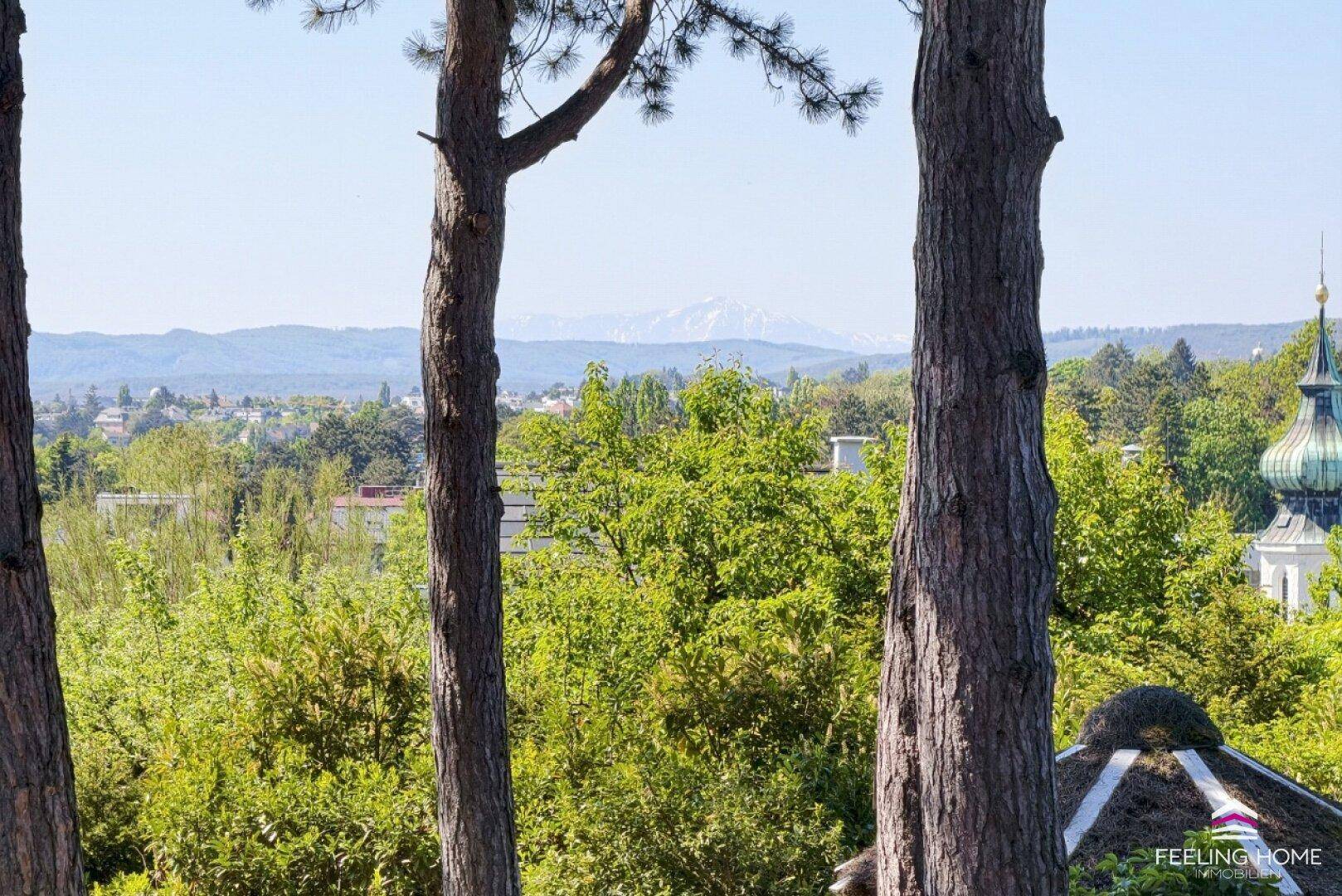 Panoramablick über grüne Baumwipfel und eine Stadtlandschaft bis zu den fernen Bergen.