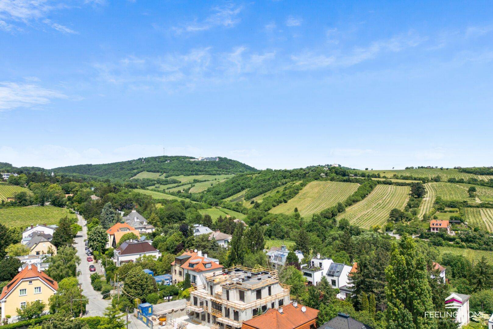 Panoramablick über eine grüne Landschaft mit Weinbergen, Häusern und einer Straße.