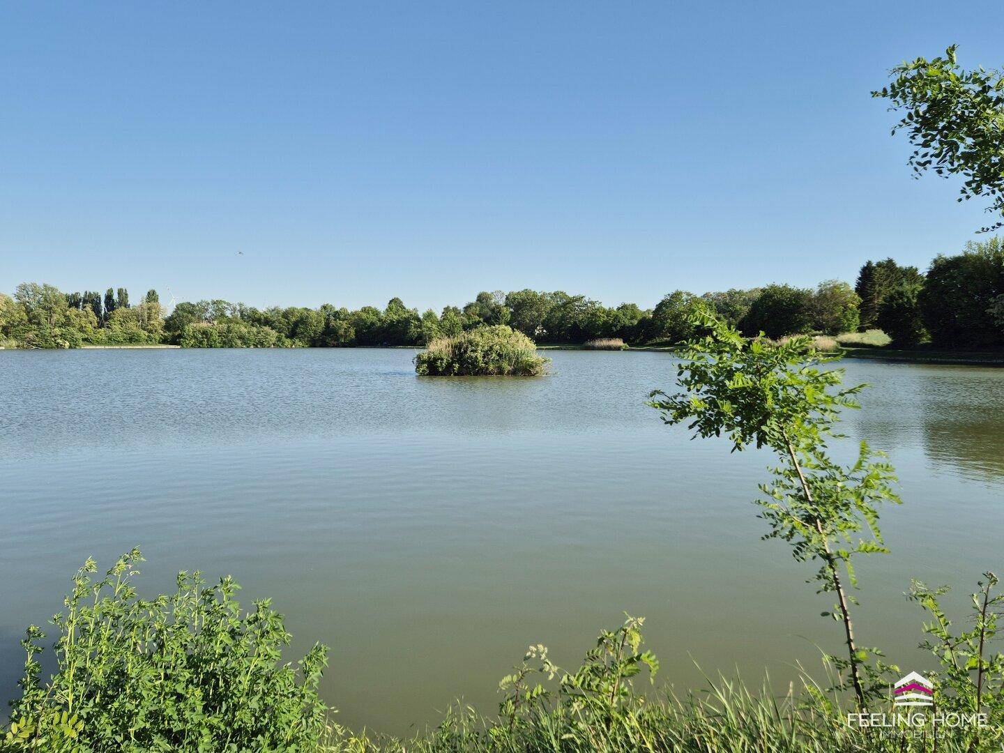 Ein ruhiger See mit einer kleinen Insel in der Mitte, umgeben von Bäumen unter klarem blauem Himmel.