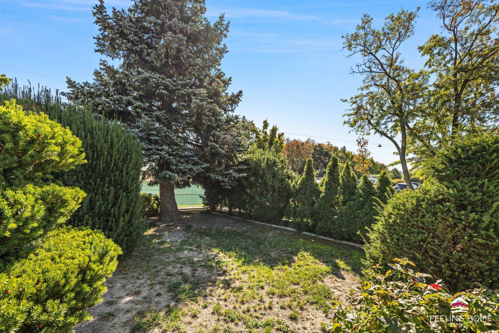 Großer Gartenbereich mit verschiedenen Bäumen und Sträuchern, umgeben von viel Grün.