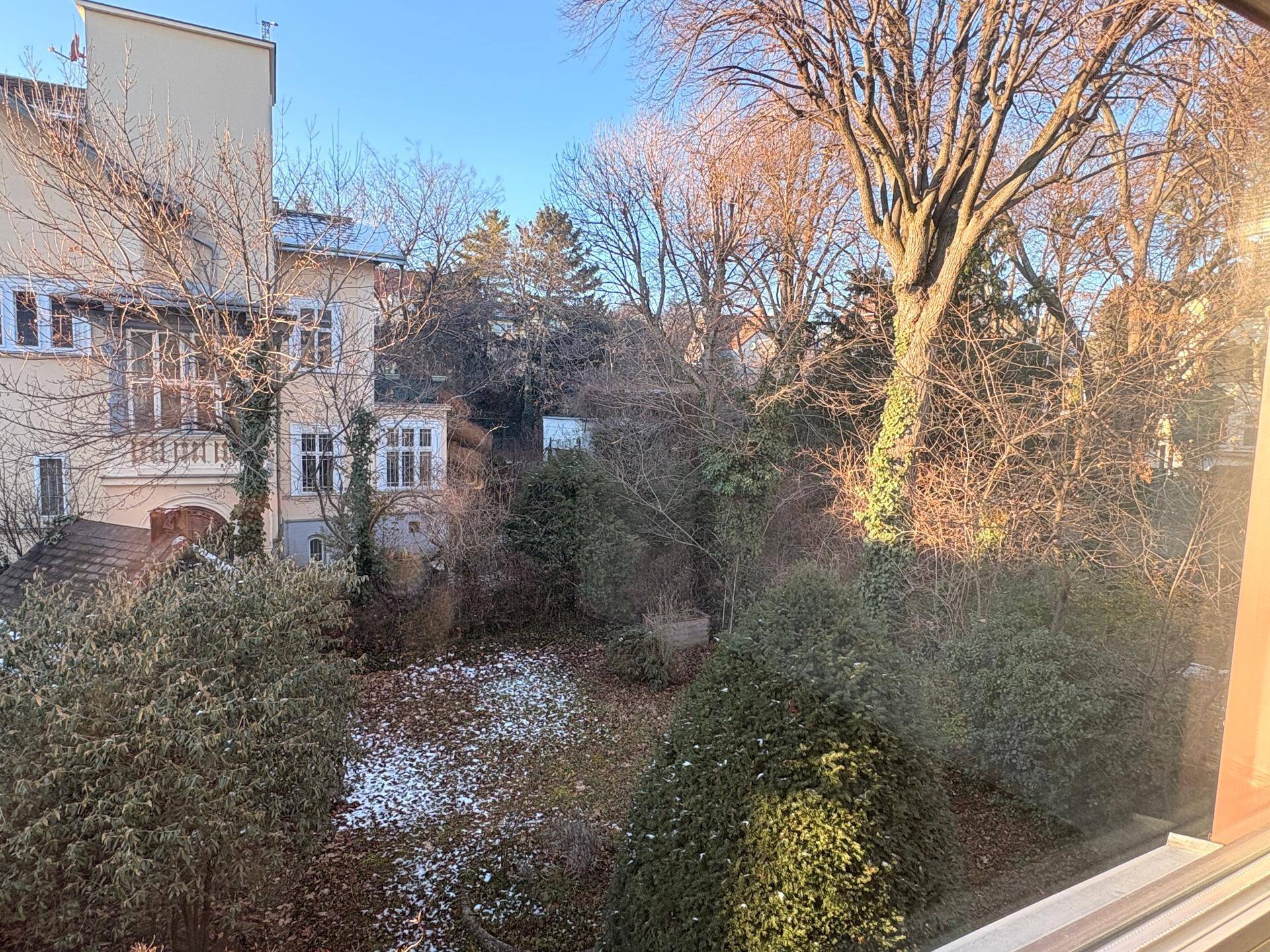 Winterlicher Blick aus dem Fenster auf den großen Garten mit Bäumen und leichtem Schneefall.