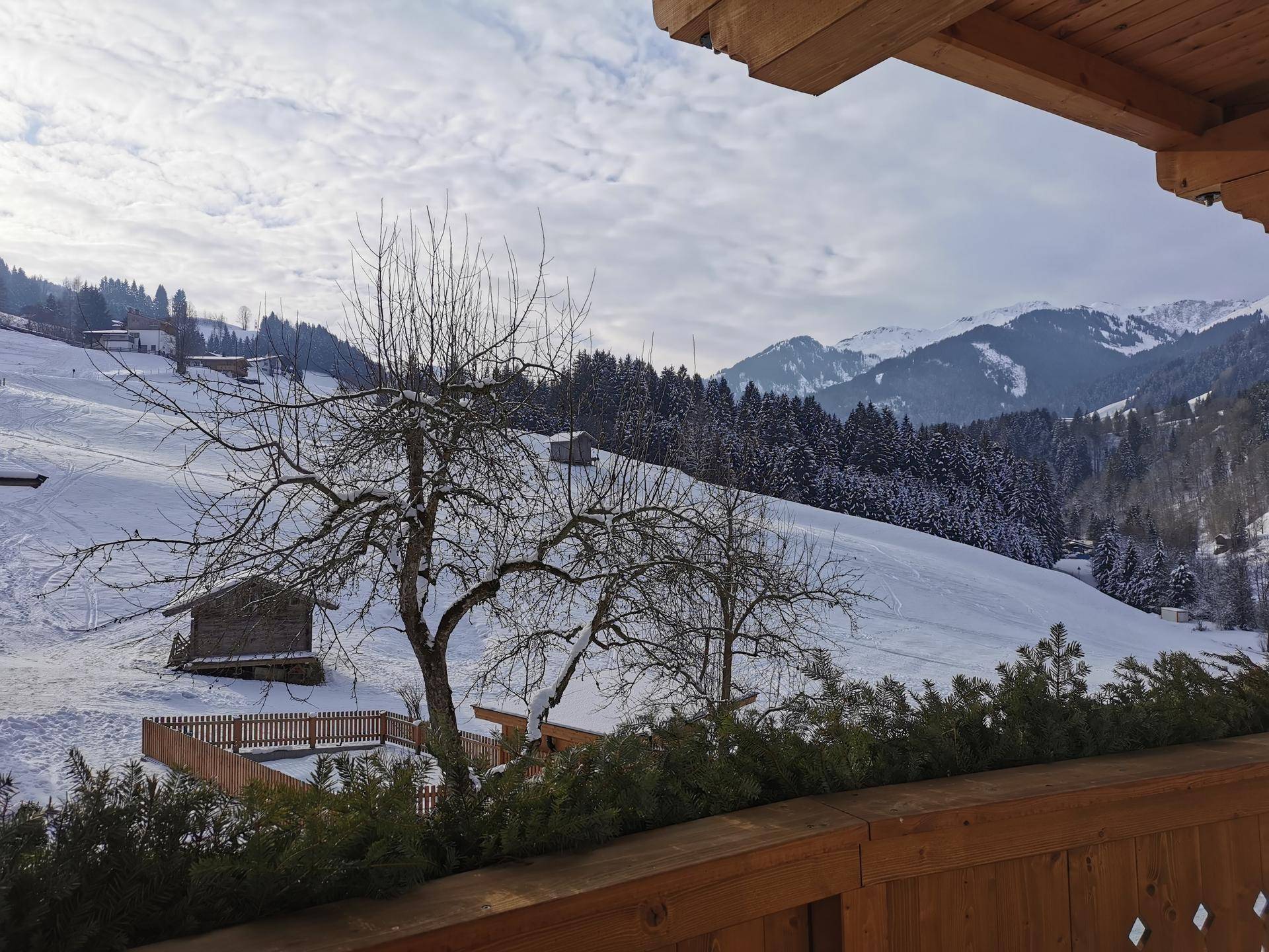 Winterliche Berglandschaft vom Balkon aus mit verschneiten Hängen und Bäumen.