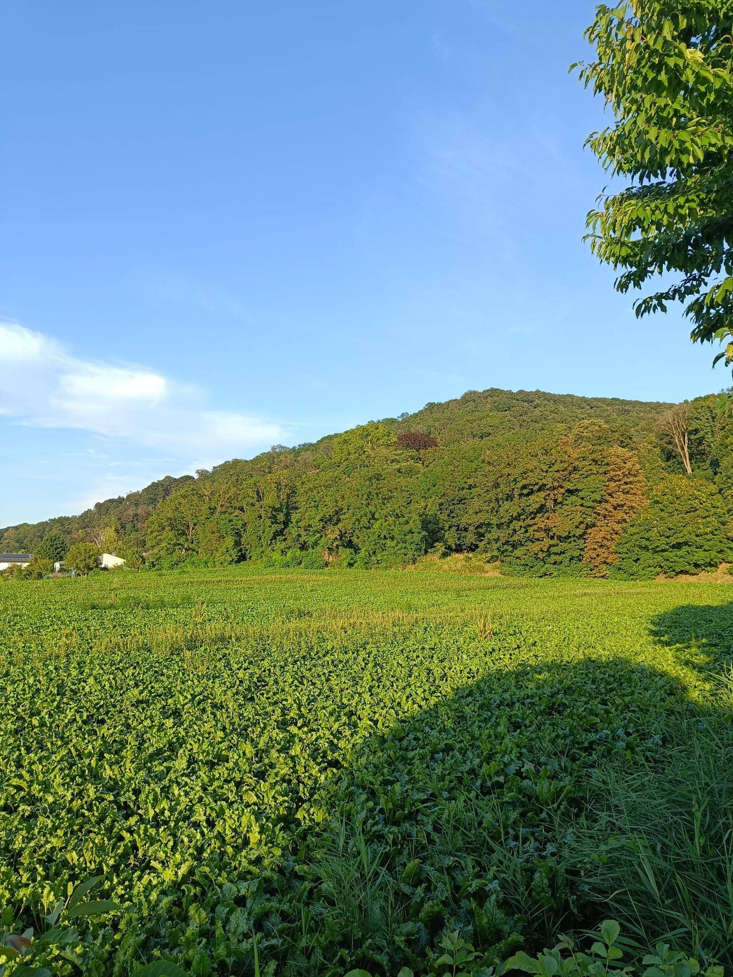 Slide 6