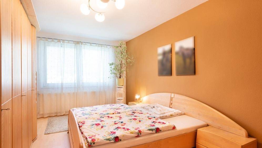 Gemütliches Schlafzimmer mit Holzmöbeln, orangefarbenen Wänden und großem Fenster.