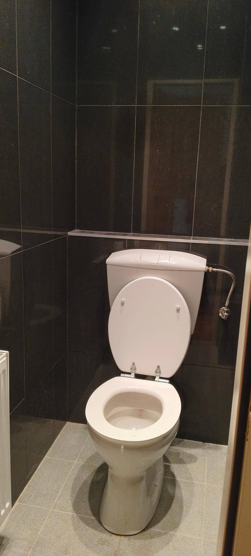 Separate Toilette mit dunklen Wandfliesen und hellem Bodenbelag.