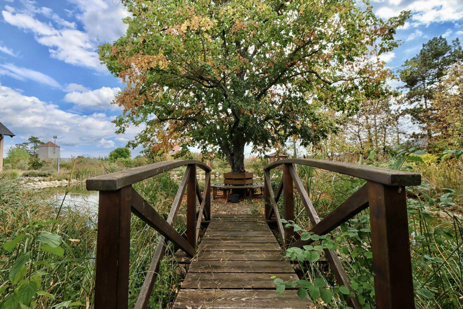 Rustikale Holzbrücke führt über den Teich zu einem Baum mit Sitzgelegenheit im Garten.