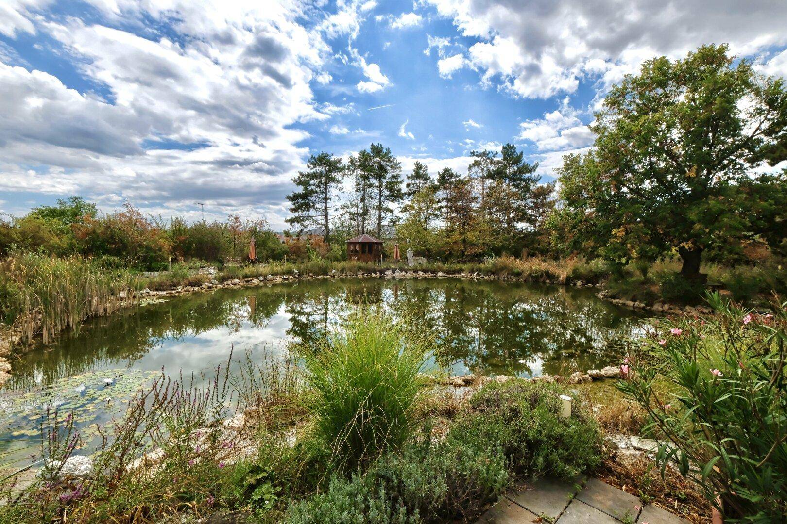 Idyllischer Gartenteich mit üppiger Bepflanzung und einem kleinen Gartenhaus im Hintergrund.