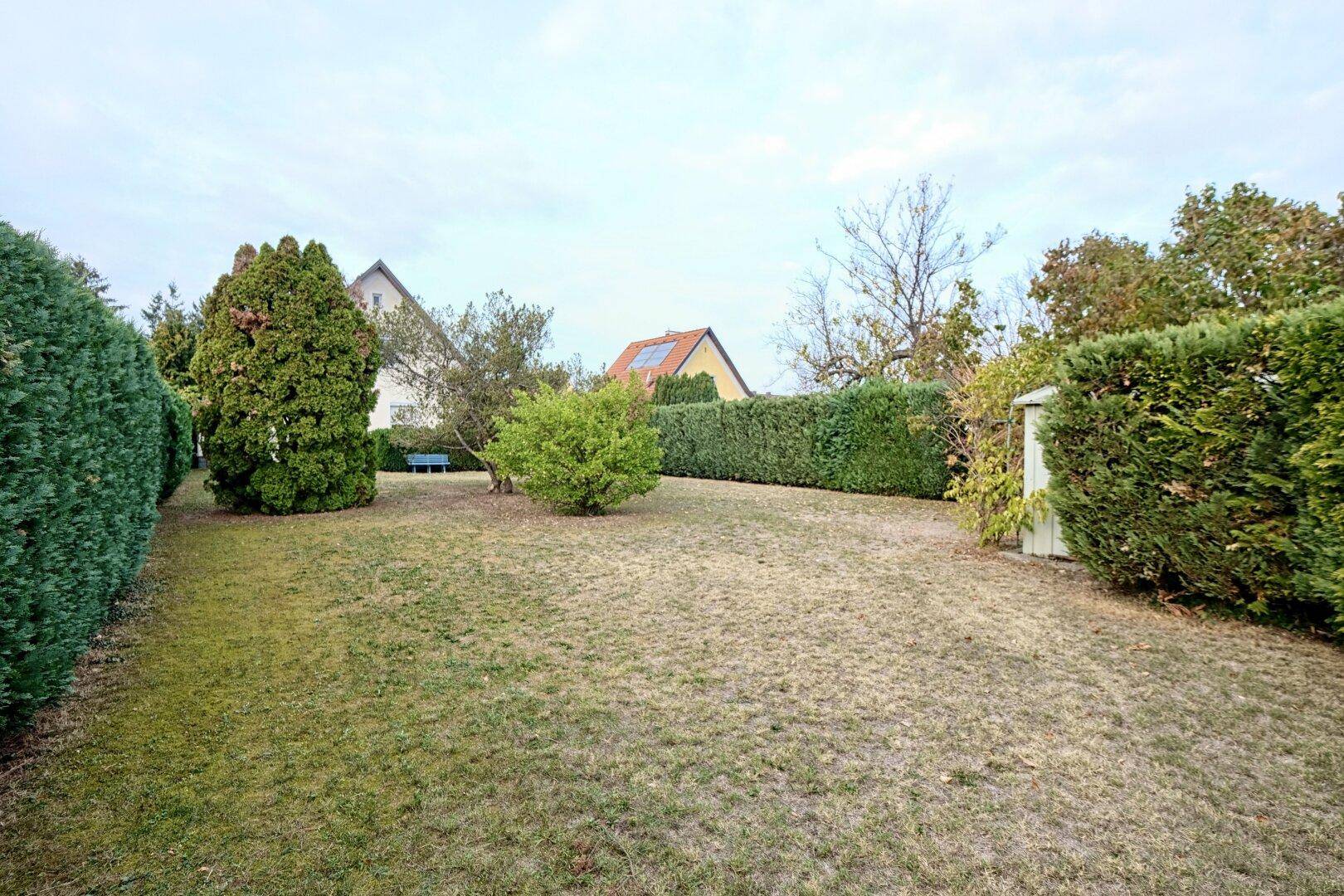 Großer, gepflegter Gartenbereich mit Rasen, hohen Hecken und Bäumen im Hintergrund.