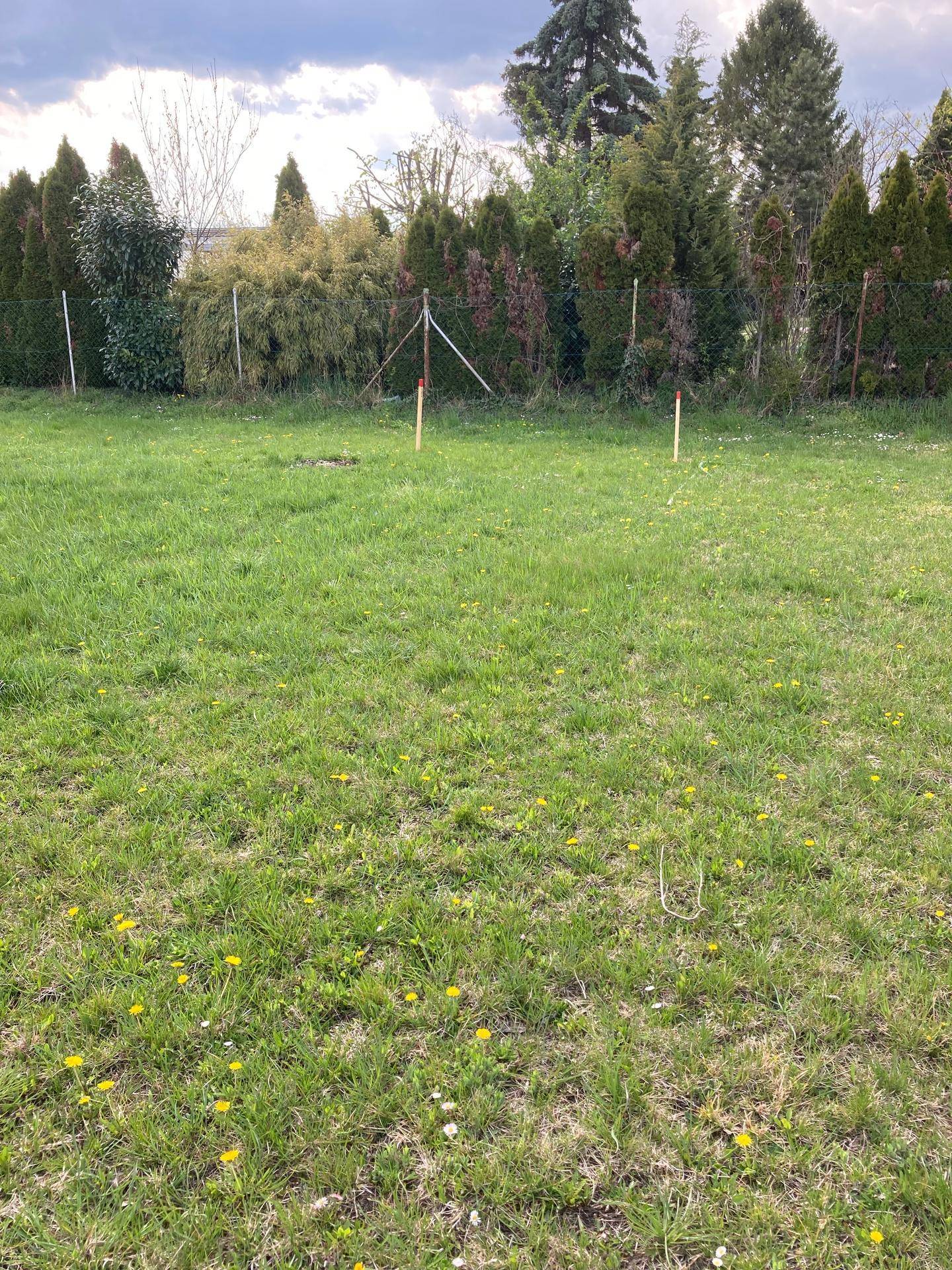 Ruhiges Grundstück - Ansicht 3