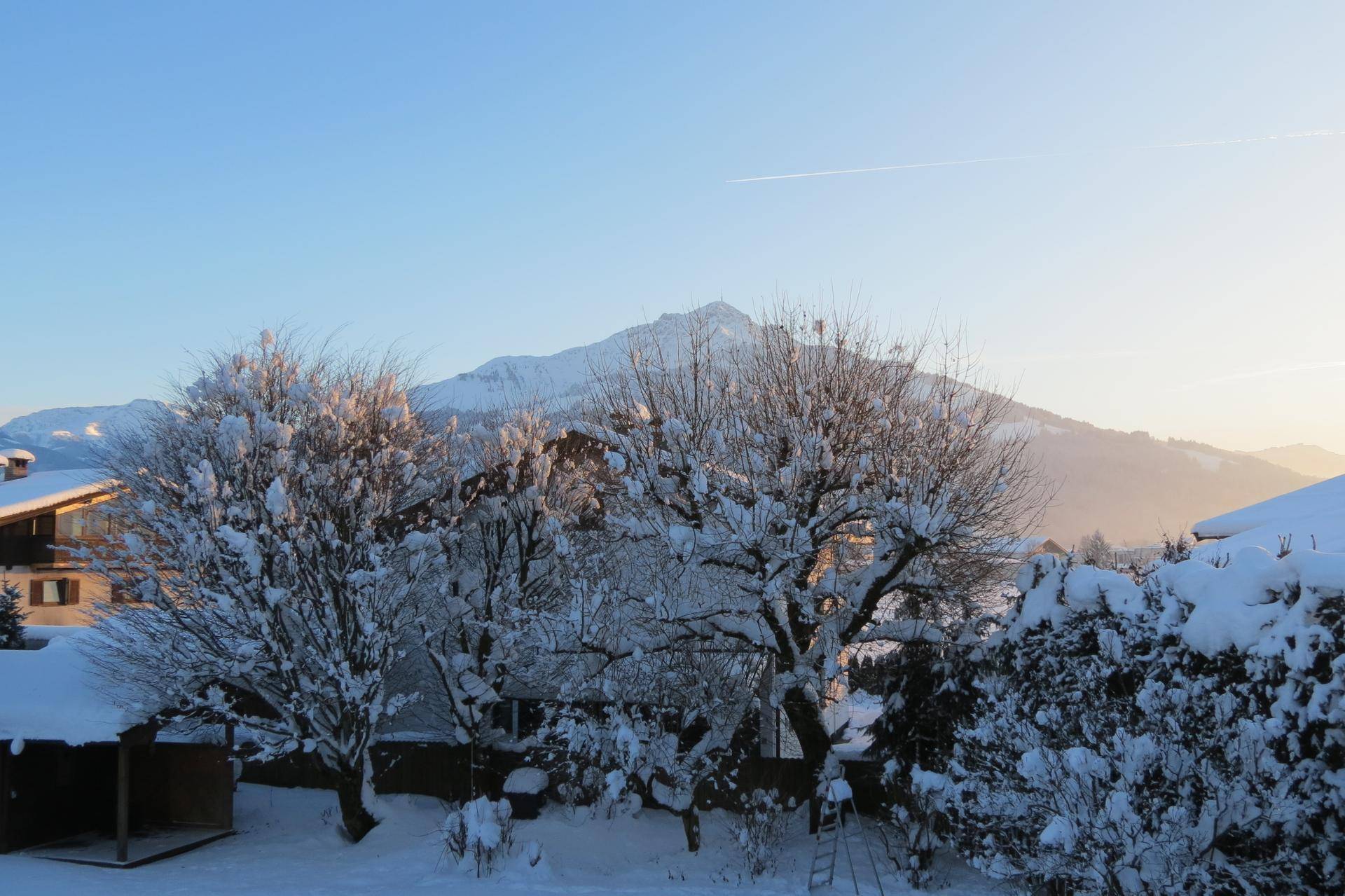 Winterliche Szenerie mit schneebedeckten Bäumen und einem Berg in der Ferne bei Sonnenaufgang.