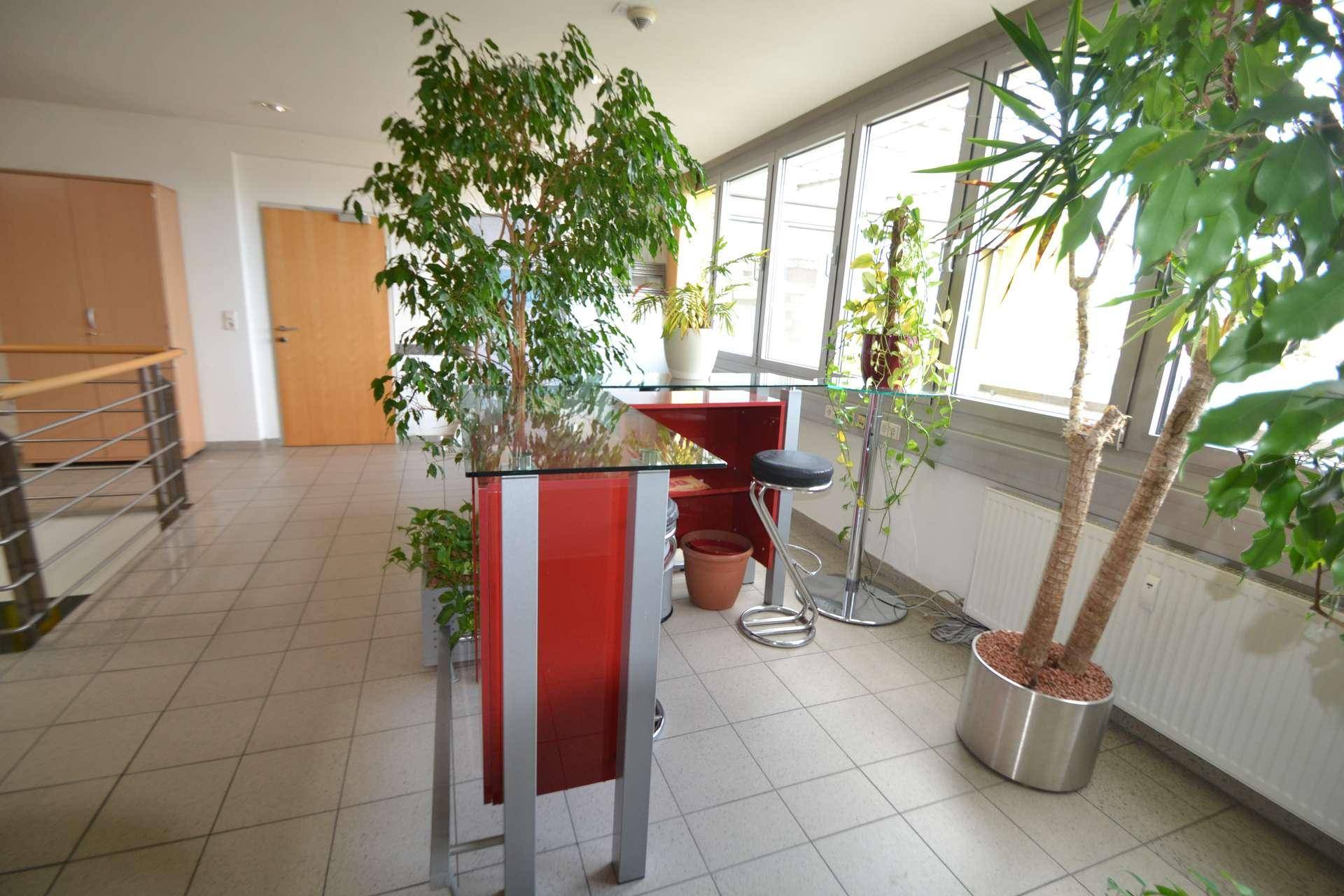 Heller Pausenbereich mit Pflanzen, Stehtisch und großen Fenstern, ideal zum Entspannen.
