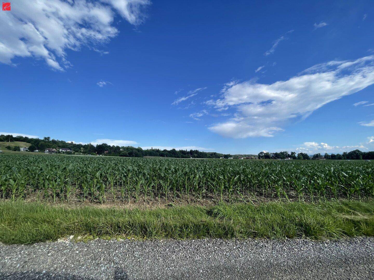 Aussicht auf gegenüberliegenden Acker