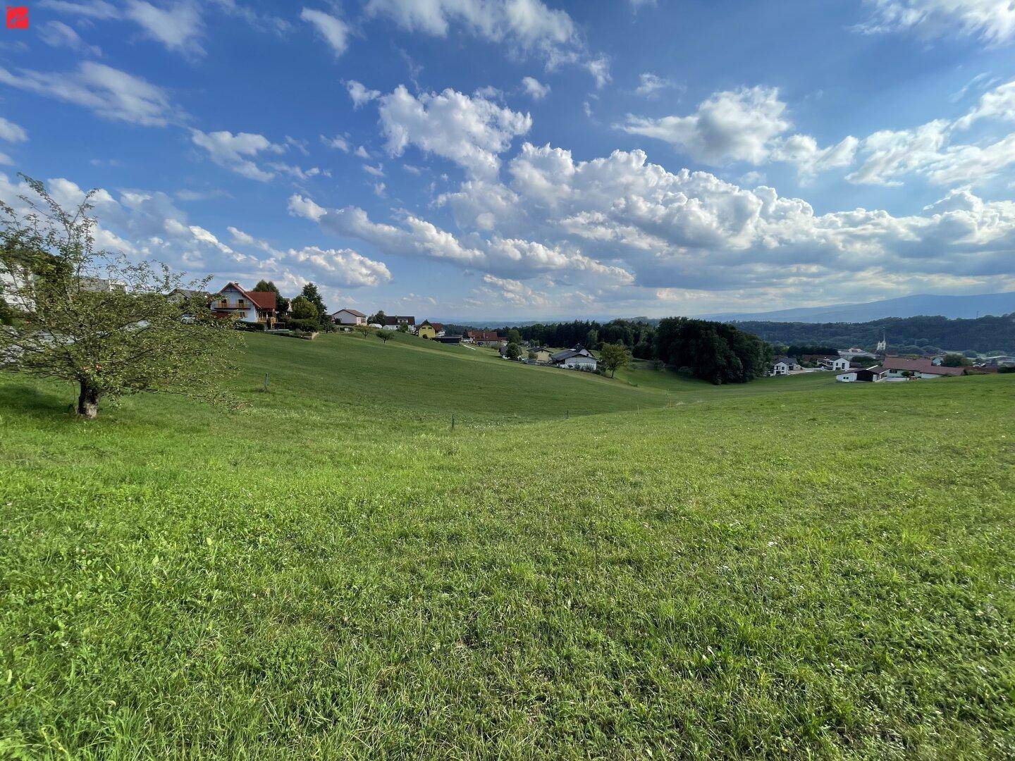 Idyllische grüne Hügellandschaft mit vereinzelten Häusern und weitem Blick unter blauem Himmel.
