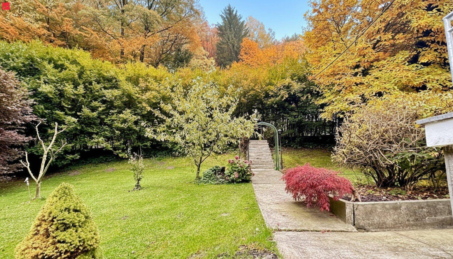 Grüner Garten mit Steintreppe, die zu einem oberen Bereich führt, umgeben von Herbstlaub.