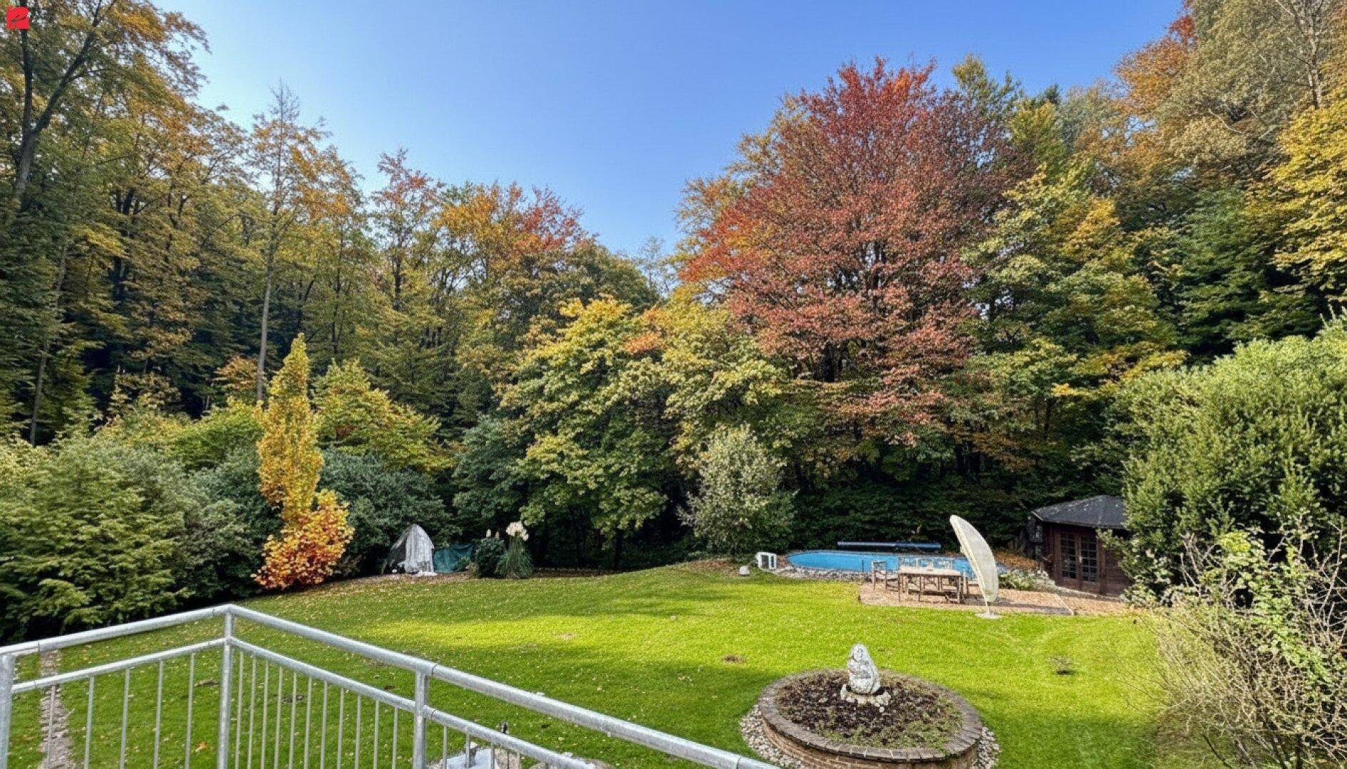 Weitläufiger Gartenbereich mit Pool, umgeben von herbstlichen Bäumen und Sträuchern.