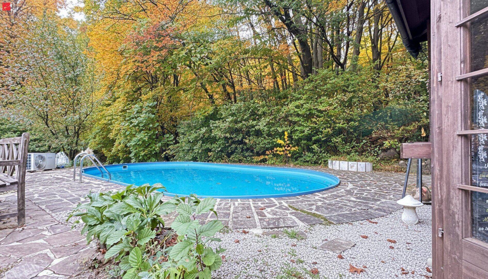 Ovaler Poolbereich mit Steinplatten und üppiger Vegetation im Hintergrund, ideal zum Entspannen.