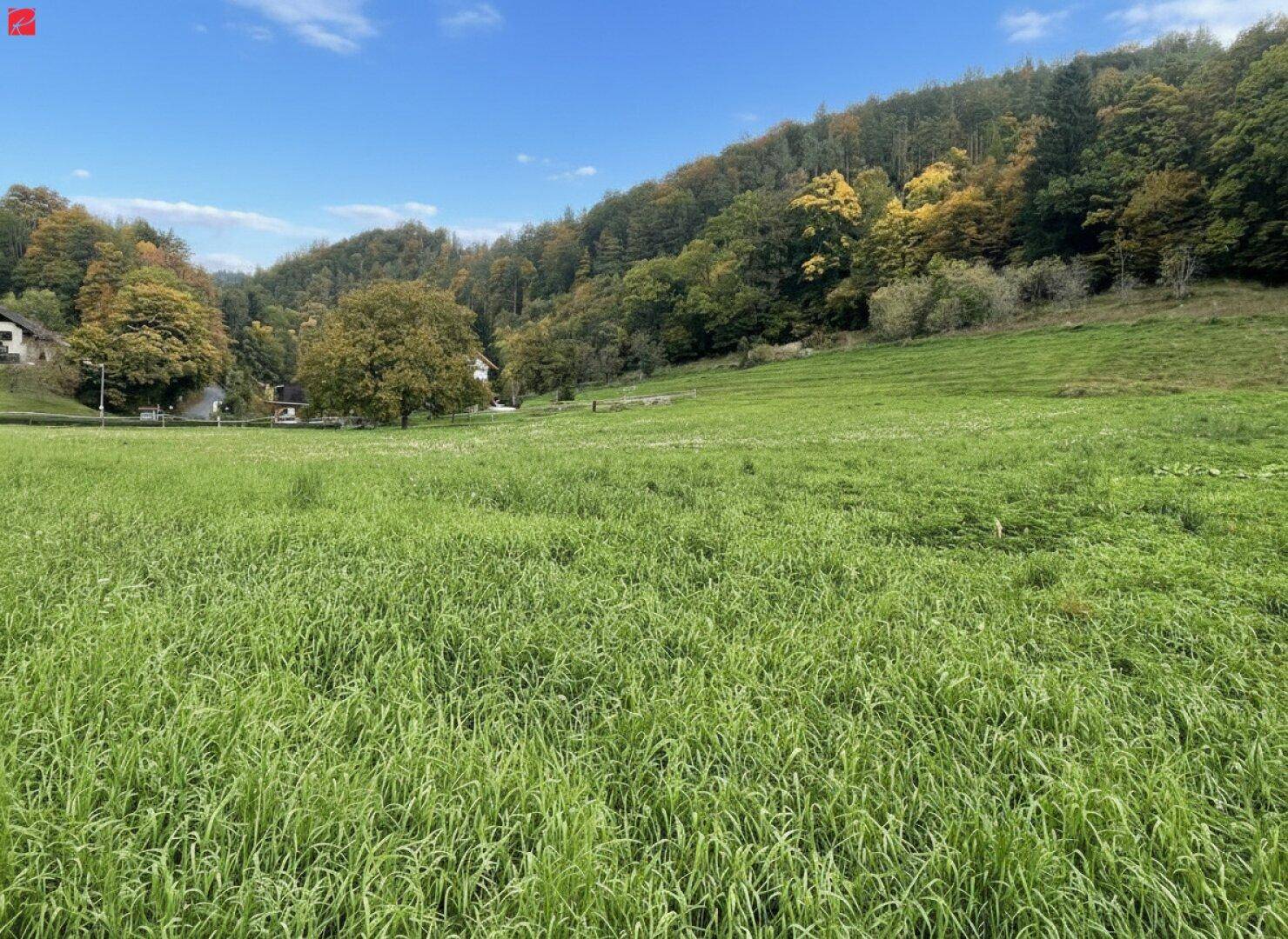Traumgrund in idyllischer Lage - Ansicht 2