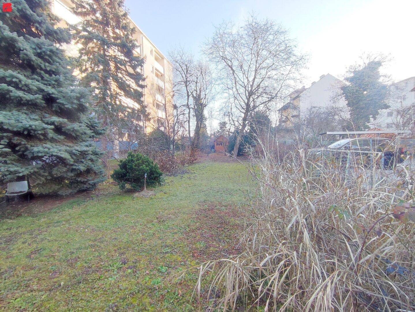 Grüne Gartenfläche mit verschiedenen Pflanzen und Bäumen, im Hintergrund ein kleines Gartenhaus.