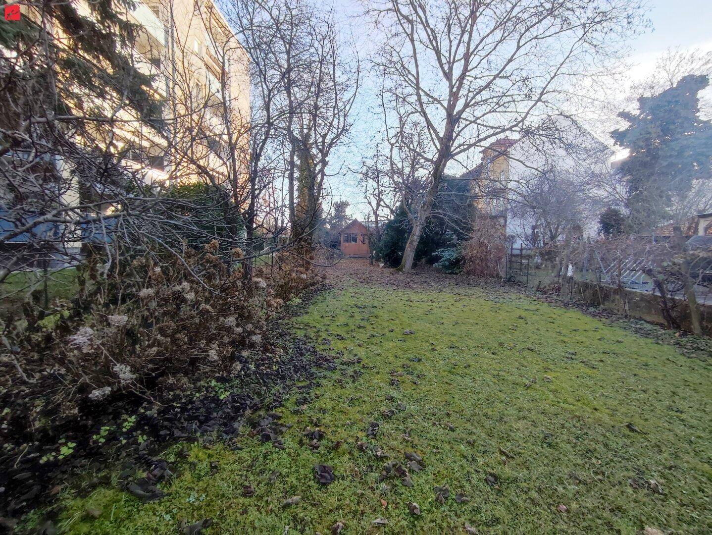 Ausgedehnte Rasenfläche eines Gartens mit Bäumen und Sträuchern, im Hintergrund ein kleines Gartenhaus.