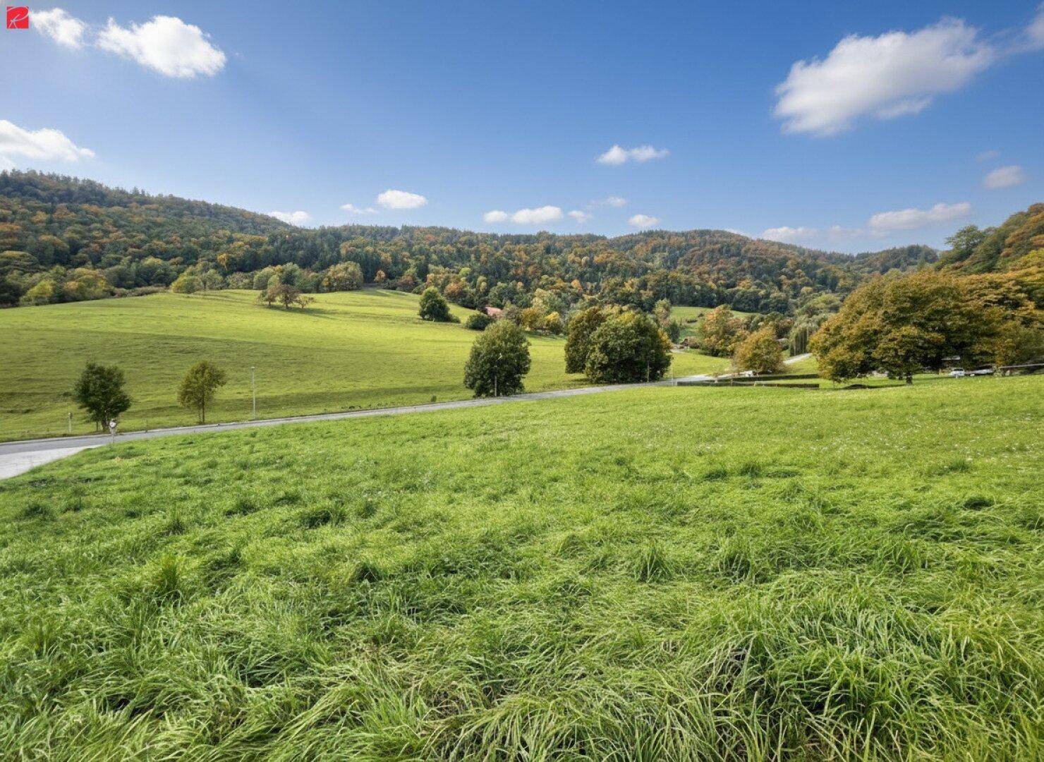 Idyllische Landschaft mit sanften grünen Hügeln, verstreuten Bäumen und einem weiten Horizont.
