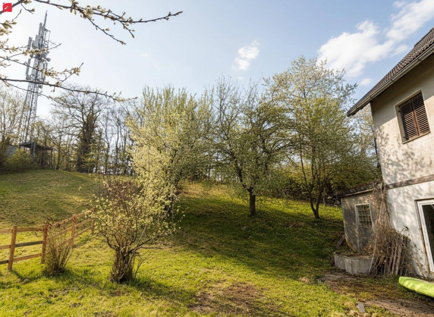 Großer, sonniger Gartenbereich mit blühenden Bäumen und einem Holzzaun in ländlicher Umgebung.