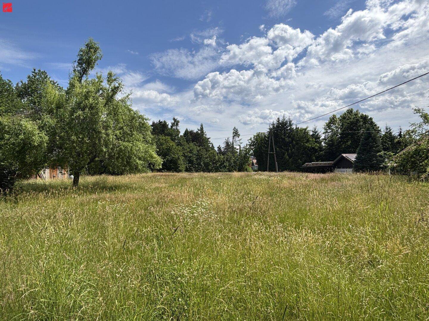 Ihre Ferienimmobilie mit großzügigen Wiesen- &amp; Waldflächen - View 2
