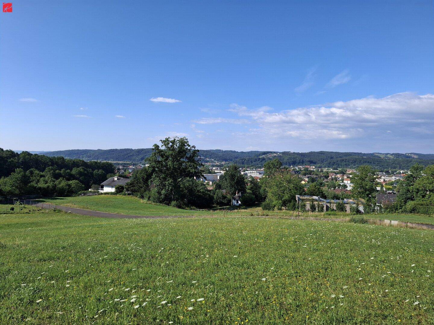 Idyllische Aussicht auf eine ländliche Umgebung mit Stadt im Hintergrund und weiten Wiesen.