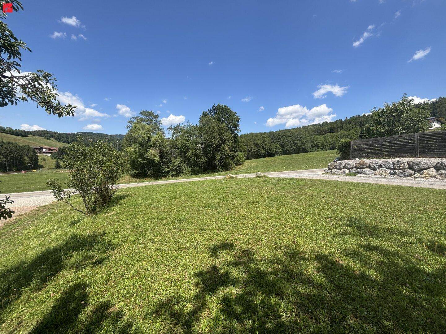 Sonnige Grünfläche mit einer Straße und bewaldeten Hügeln im Hintergrund, umgeben von Natur.