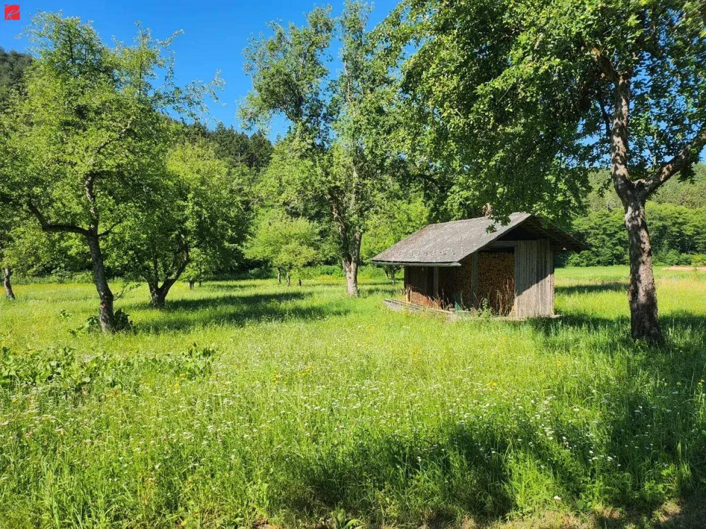 Weitläufige grüne Wiese mit verstreuten Bäumen und einem kleinen Holzschuppen unter blauem Himmel.