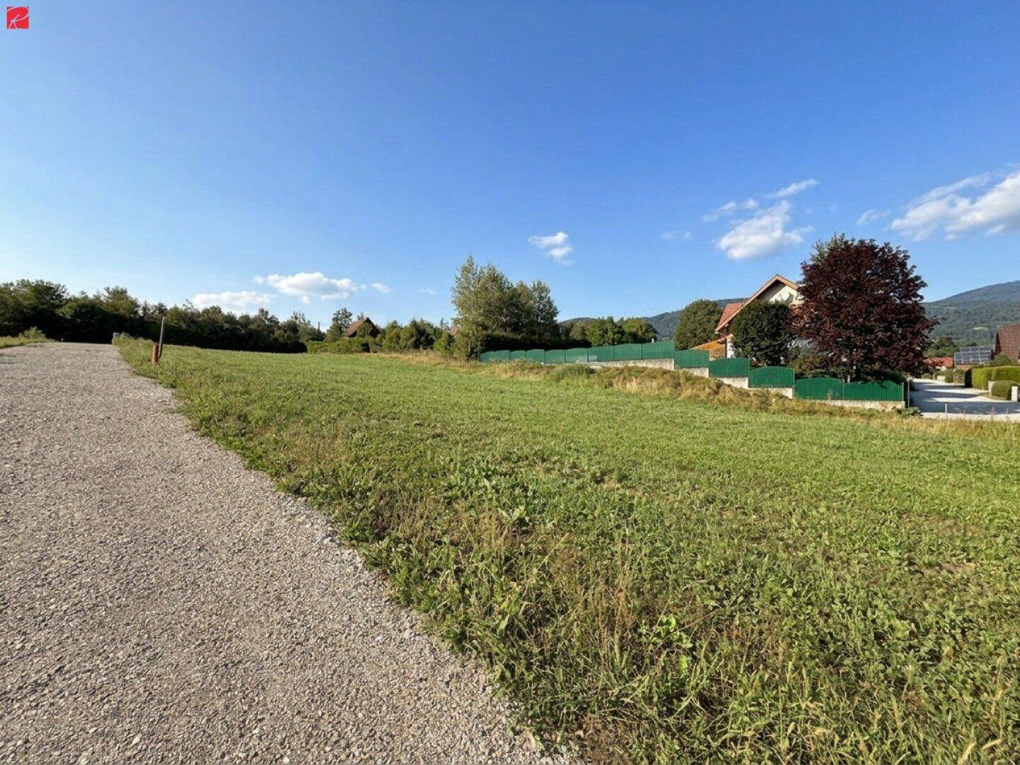 Grünes Grundstück mit Häusern und Bäumen im Hintergrund unter strahlend blauem Himmel.