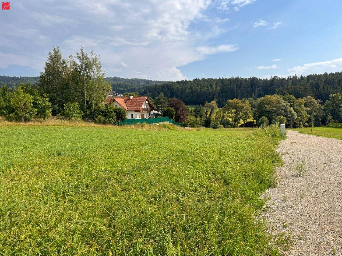 Weitläufige grüne Wiese mit einem Feldweg, der zu einem charmanten Haus inmitten von Bäumen führt.