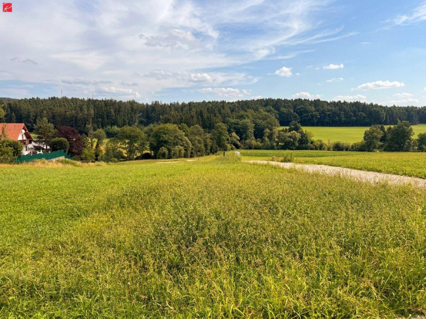 Grüne Wiesen und Felder mit einem Feldweg, umgeben von Wäldern und einem Haus in der Ferne.