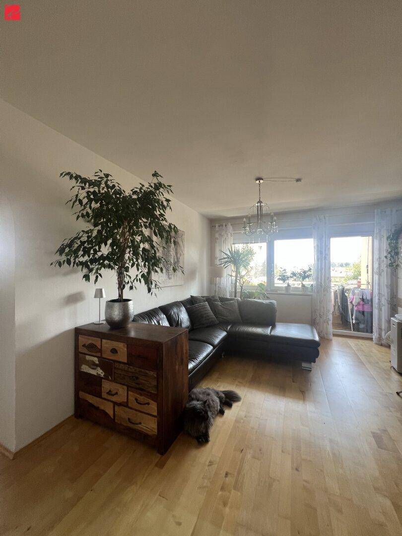 Gemütliches Wohnzimmer mit dunklem Ecksofa, Holzkommode und hellem Parkettboden, gut beleuchtet durch große Fenster.