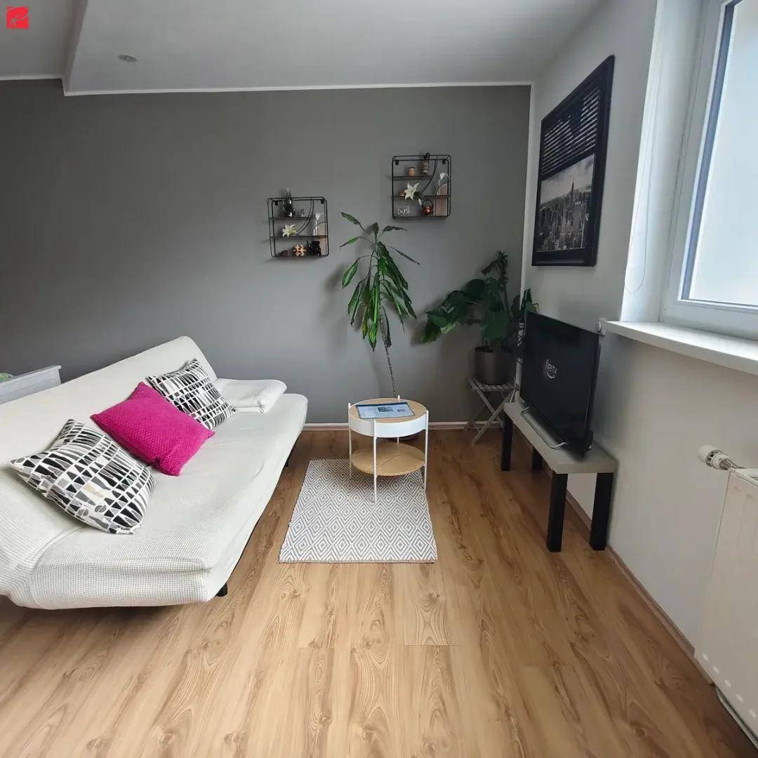 Gemütliches Wohnzimmer mit weißem Sofa, Fernseher und Pflanzen vor einer grauen Wand.