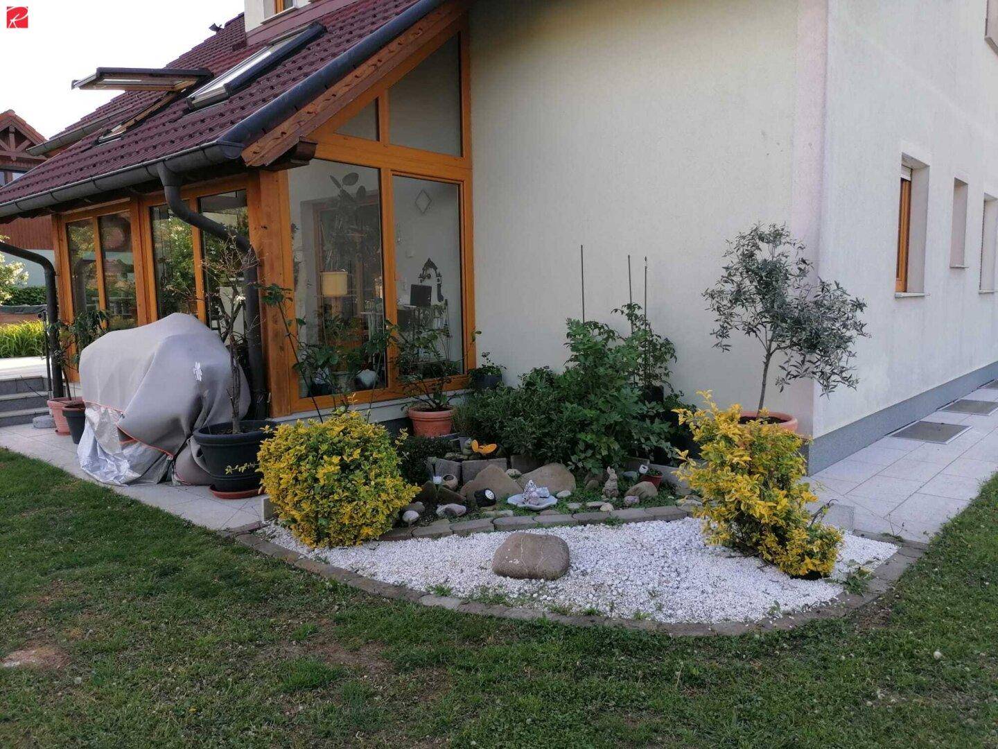 Kleiner Steingartenbereich neben dem Wintergarten mit verschiedenen Pflanzen.