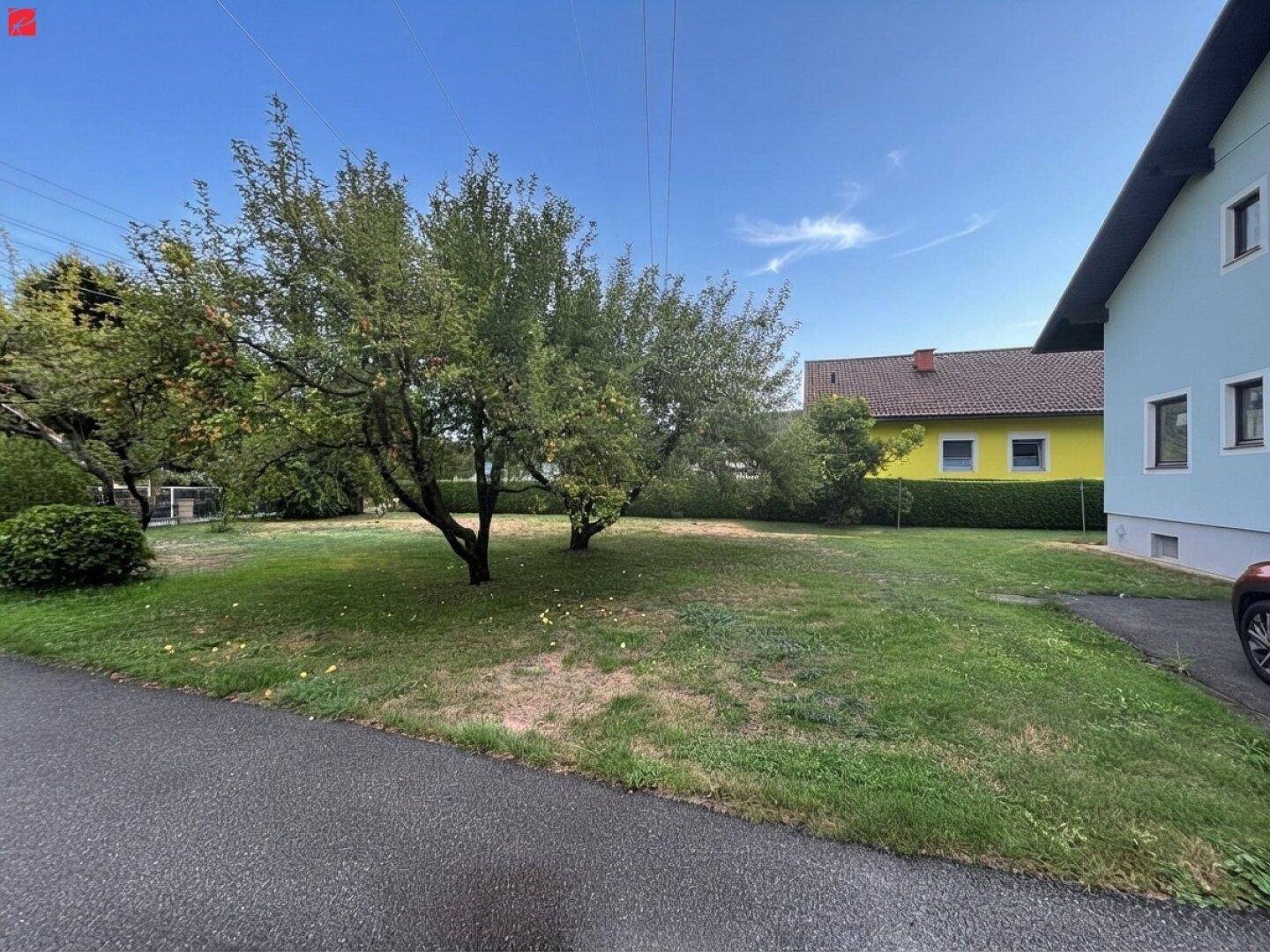 Großer Gartenbereich mit mehreren Obstbäumen und einer weitläufigen Rasenfläche.