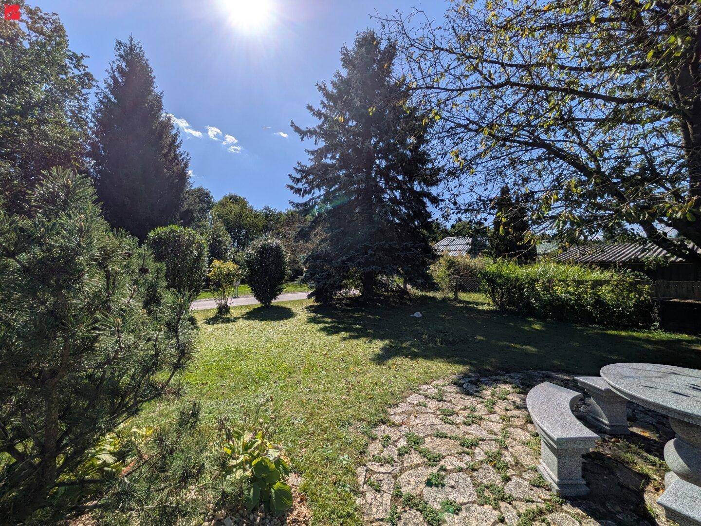 Sonniger Gartenbereich mit großen Bäumen, Sträuchern und einem steinernen Tisch mit Bänken.
