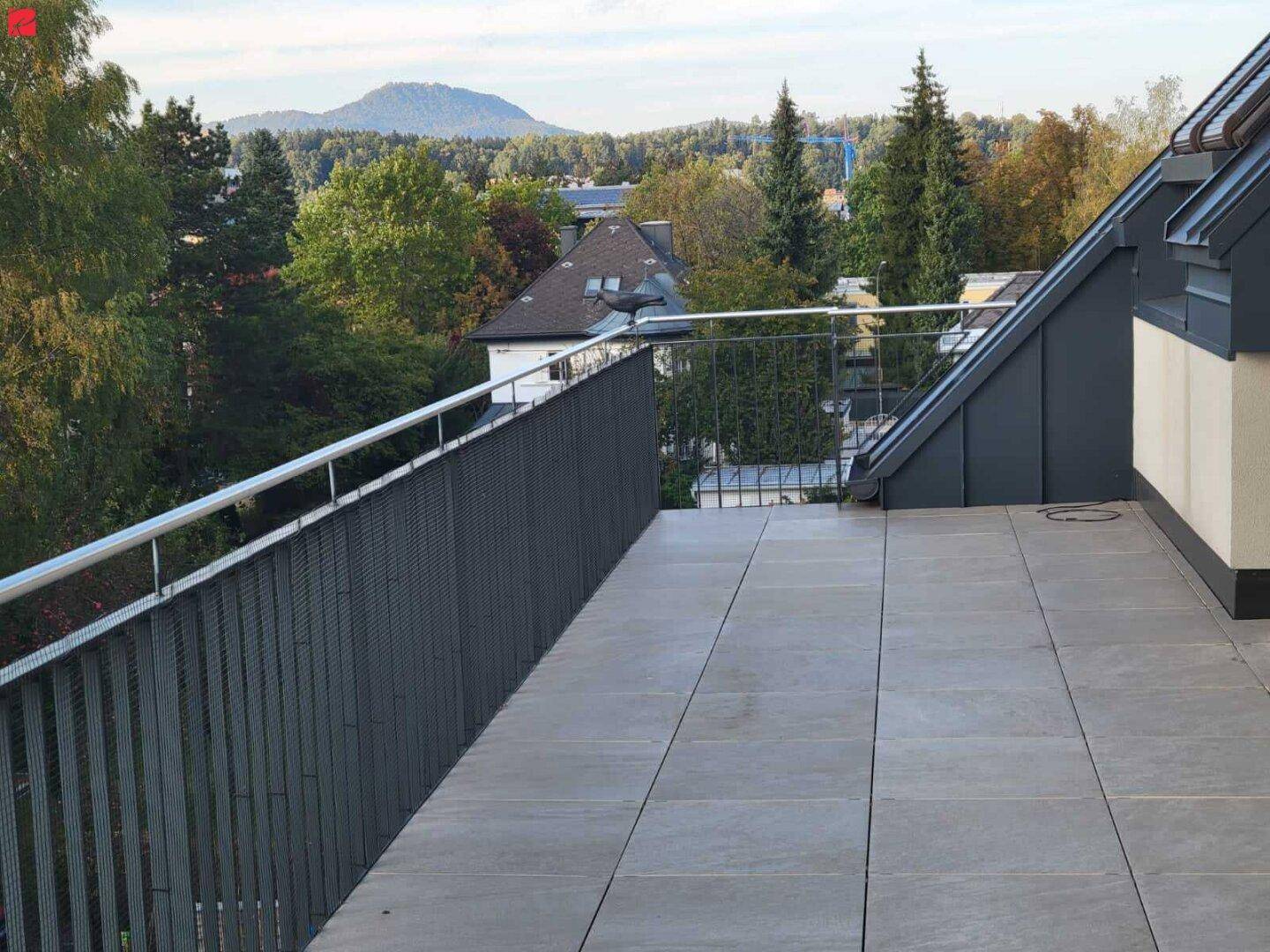 Slide 5